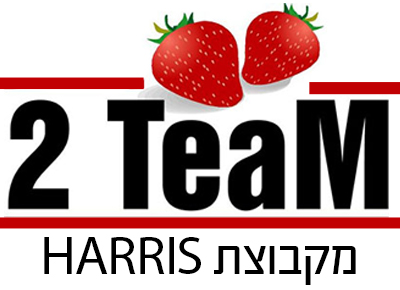 2Team